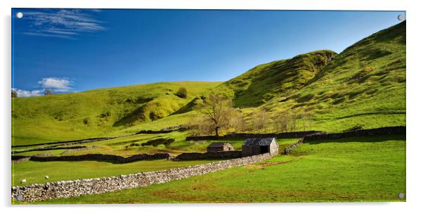 Peak District Countryside near Castleton Acrylic by Darren Galpin