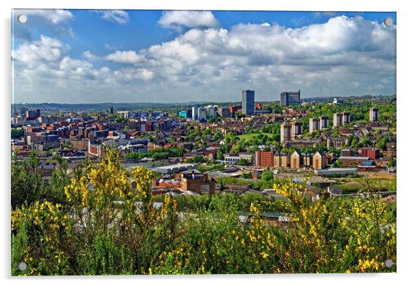 Parkwood Springs View over Sheffield Acrylic by Darren Galpin
