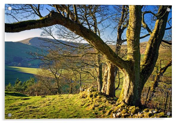 View of Mam Tor, Peak District Acrylic by Darren Galpin
