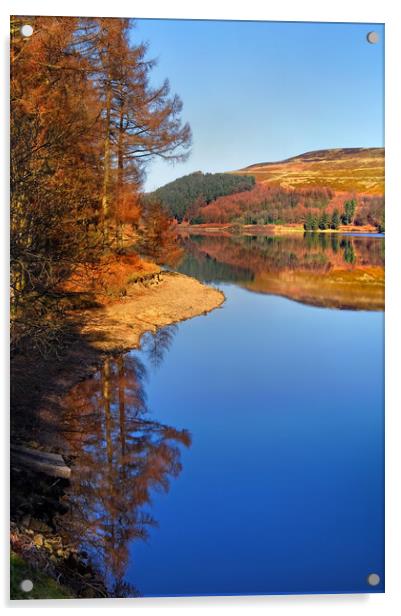 Derwent Reservoir Reflections  Acrylic by Darren Galpin