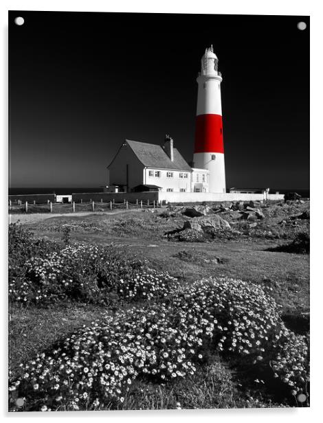 Portland Bill Lighthouse Acrylic by Darren Galpin