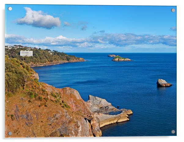 View from Daddyhole Cove, Torquay Acrylic by Darren Galpin