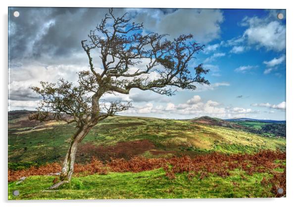 Combestone Tor Dartmoor Acrylic by Darren Galpin