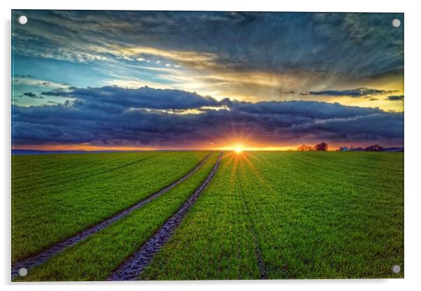 Penny Hill Farmland Sunset Acrylic by Darren Galpin