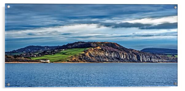 Outdoor Charmouth and Jurassic Coast Panorama Acrylic by Darren Galpin