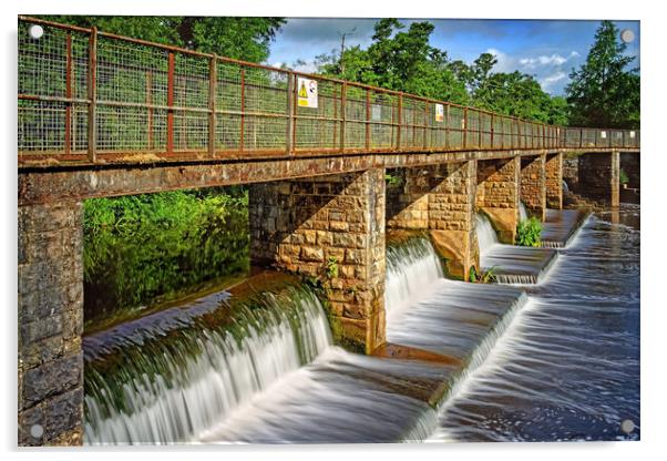 Taunton French Weir Bridge Acrylic by Darren Galpin