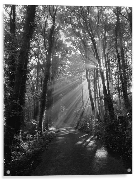 Light Rays through Castleton Lane,Peak District Acrylic by Darren Galpin