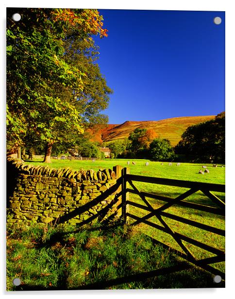 Countryside Near Edale Acrylic by Darren Galpin