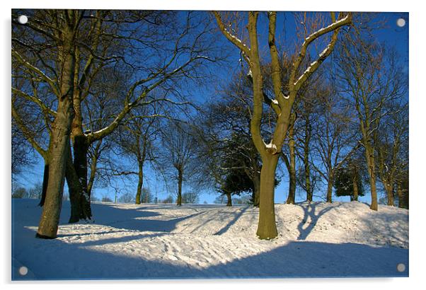 Winter in the Park Acrylic by Darren Galpin