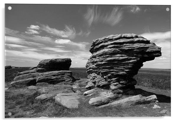 Ox Stones Acrylic by Darren Galpin