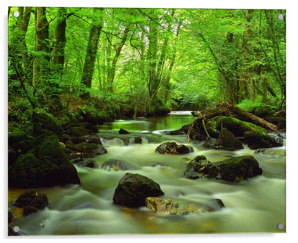 River Yealm at Yealmpton Acrylic by Darren Galpin