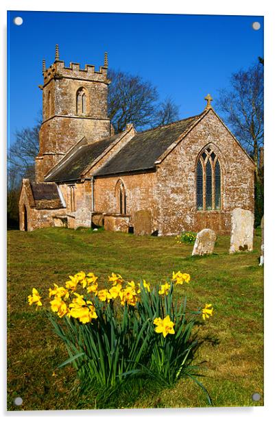 St Andrews Church & Daffodils, Burstock, Dorset Acrylic by Darren Galpin