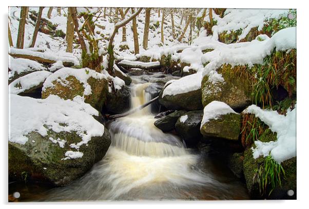 Winter In Padley Gorge Acrylic by Darren Galpin