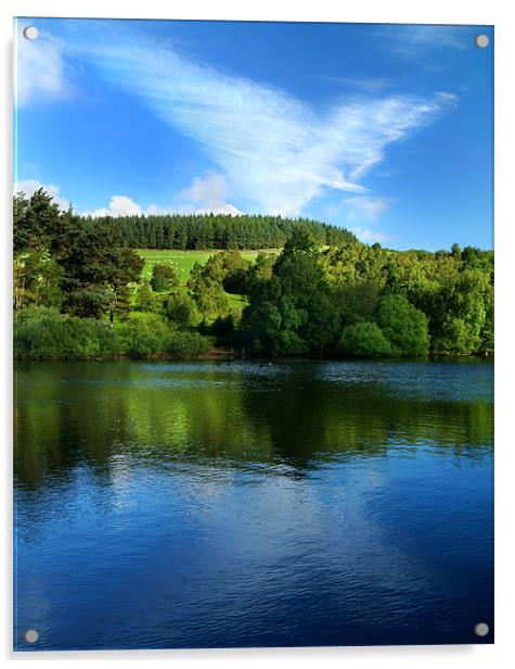 Dale Dyke Reservoir,South Yorkshire,Peak District Acrylic by Darren Galpin