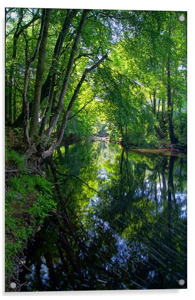 Beeley Wood & River Don in Sheffield Acrylic by Darren Galpin