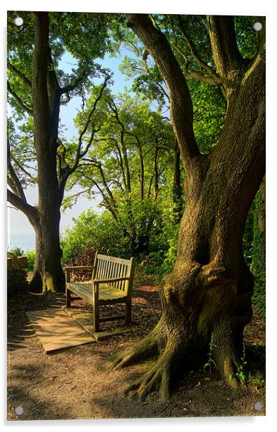 Bench with a View, Durlston Bay near Swanage Acrylic by Darren Galpin