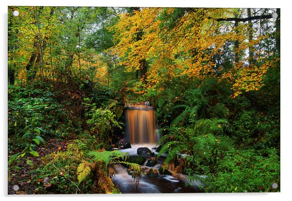 Upper Coppice Wheel, Rivelin Acrylic by Darren Galpin