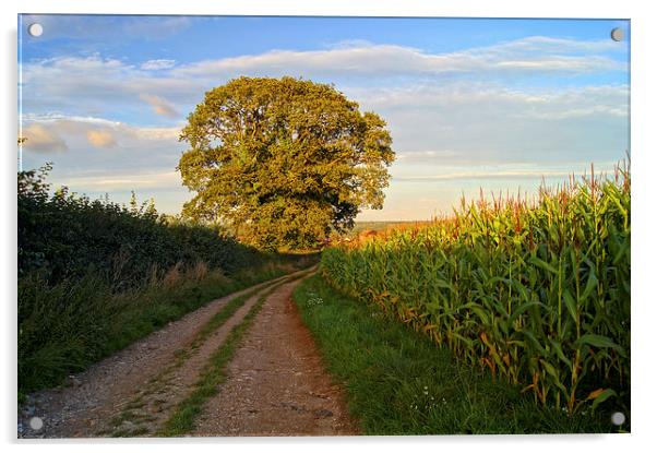 Oak Tree & Country Lane Acrylic by Darren Galpin