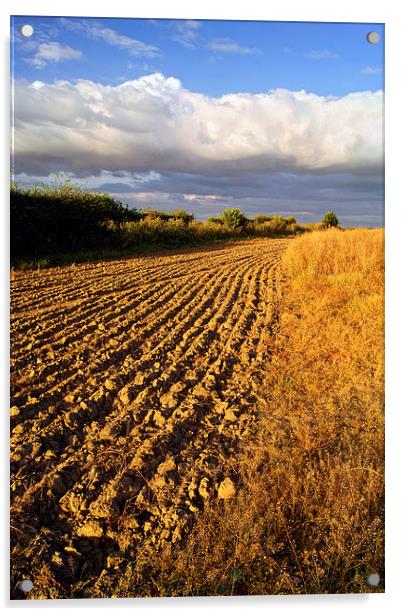 Ploughed Field Acrylic by Darren Galpin