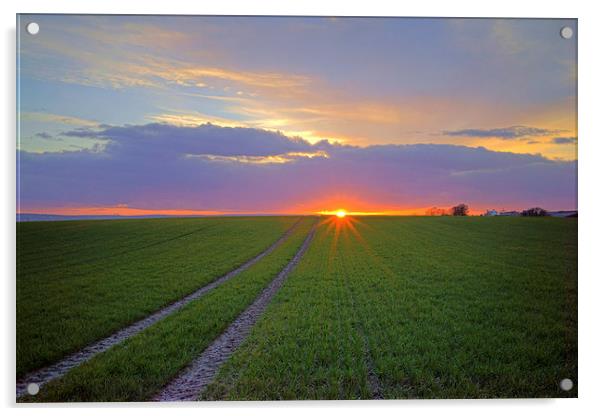 Farmland Sunset Acrylic by Darren Galpin