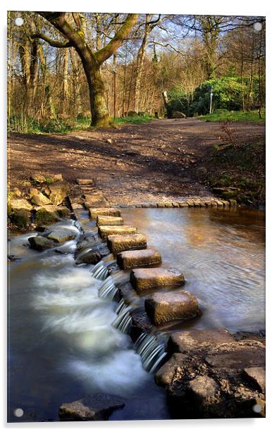 Porter Brook Stepping Stones & Falls Acrylic by Darren Galpin