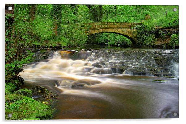 Packhorse Bridge and Waterfalls at Rivelin Acrylic by Darren Galpin