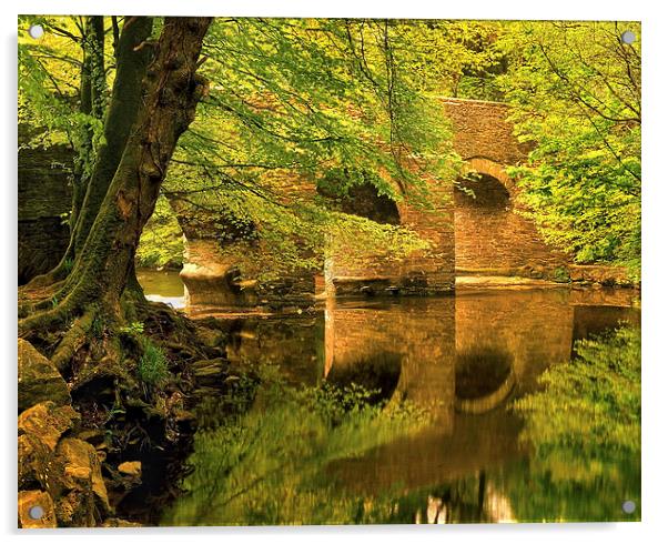 River Plym at Plymbridge Acrylic by Darren Galpin