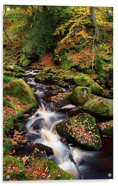 Padley Gorge Autumn Colours 2  Acrylic by Darren Galpin