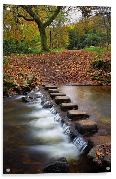 Porter Brook Stepping Stones and Falls Acrylic by Darren Galpin