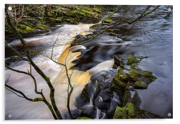 Yorkshire Bridge Falls  Acrylic by Darren Galpin