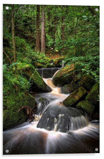 Wyming Brook Cascading Falls Acrylic by Darren Galpin