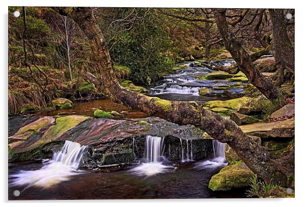 Near Black Clough  Acrylic by Darren Galpin