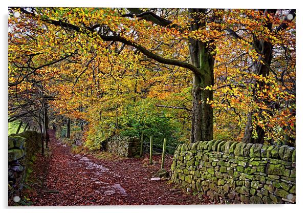 Bamford Path in Autumn  Acrylic by Darren Galpin