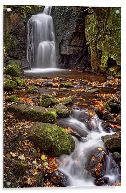 Lumsdale Falls in Autumn  Acrylic by Darren Galpin