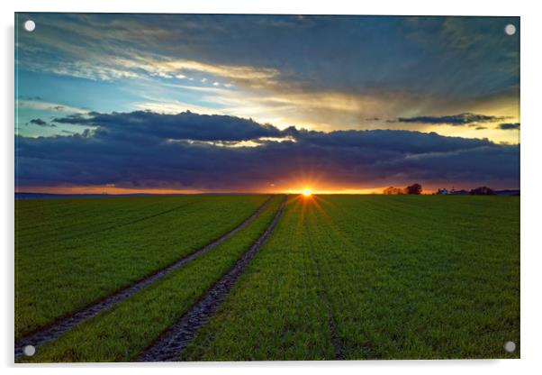 Penny Hill Farmland Sunset Acrylic by Darren Galpin