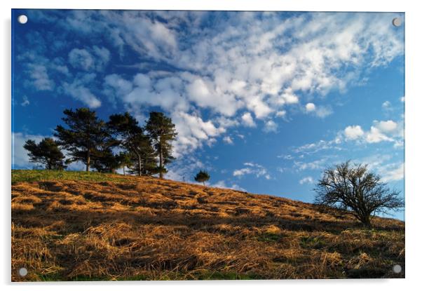 Colmers Hill                        Acrylic by Darren Galpin