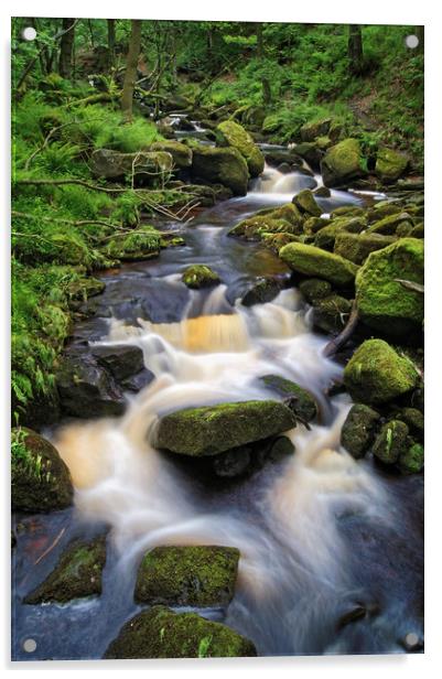 Padley Gorge                     Acrylic by Darren Galpin