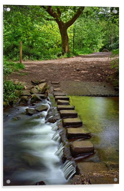 Porter Brook Stepping Stones & Falls               Acrylic by Darren Galpin