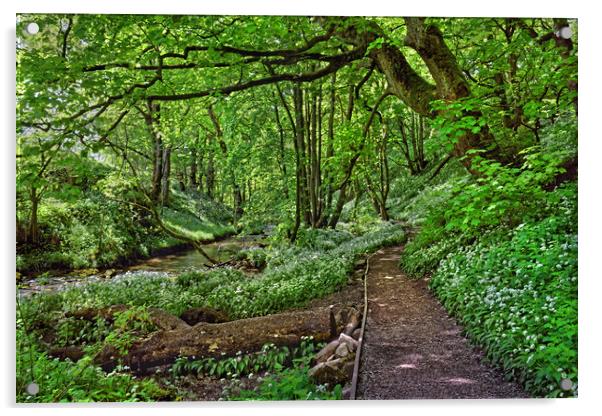 Woodland Walk at Janets Foss                       Acrylic by Darren Galpin