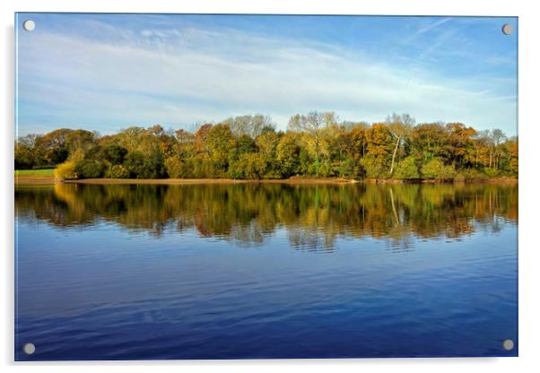 Chard Reservoir Autumn Reflections                 Acrylic by Darren Galpin