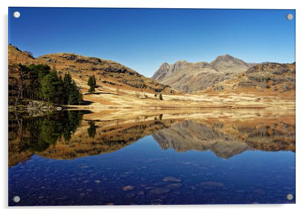 Blea Tarn                       Acrylic by Darren Galpin