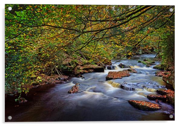  River Rivelin                               Acrylic by Darren Galpin