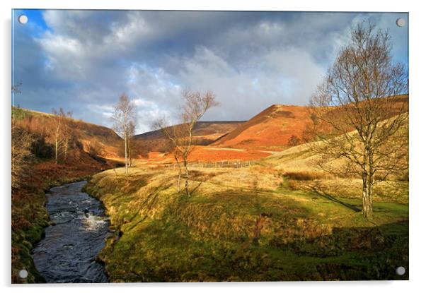 River Derwent & Little Moor near Howden Reservoir  Acrylic by Darren Galpin