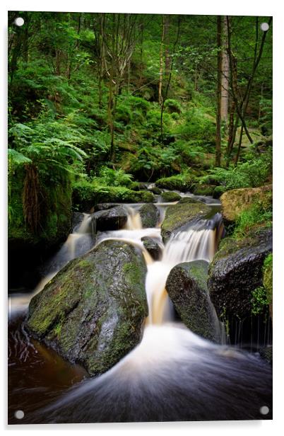 Wyming Brook Falls                           Acrylic by Darren Galpin