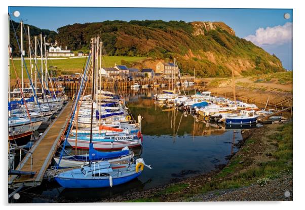 Axmouth Harbour & Haven Cliff                      Acrylic by Darren Galpin