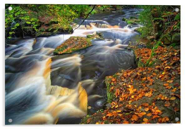  Rivelin Waterfalls in Autumn                      Acrylic by Darren Galpin