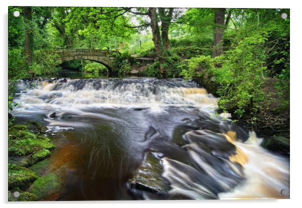 Rivelin Packhorse Bridge & Weir                   Acrylic by Darren Galpin