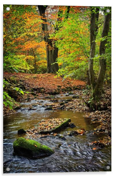 Porter Brook in Autumn                             Acrylic by Darren Galpin