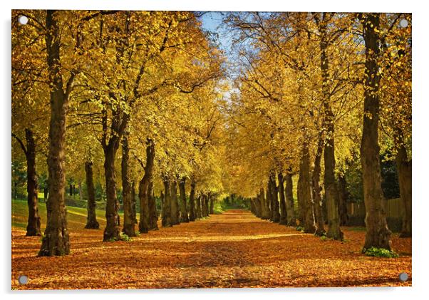 Avenue of Gold                      Acrylic by Darren Galpin