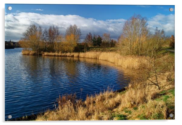 Manvers Lake                        Acrylic by Darren Galpin